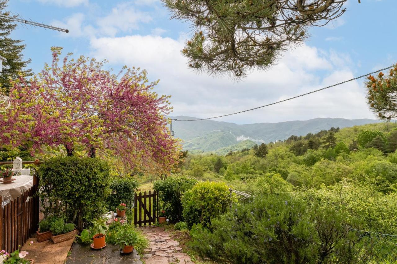 Appartamento Sassi Scritti - Acero Montano Montefegatesi Esterno foto